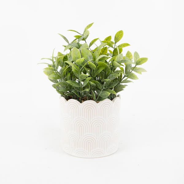 Flora Bunda 10 "H Artificial Tealeaf in 4.75" Ceramic 4.75*4.75*4.25