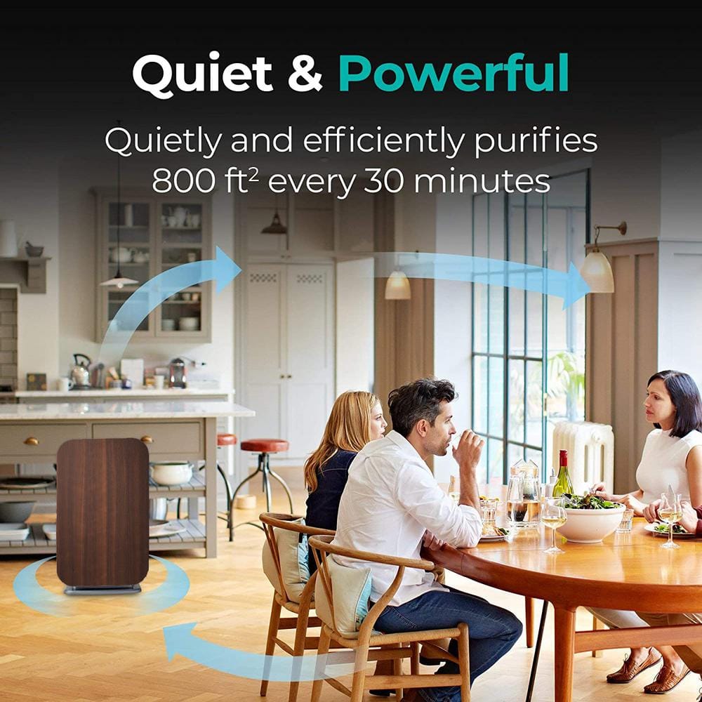 Graphite HEPA Air Purifier with SmartSensor Technology
