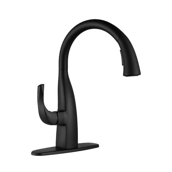 ALEASHA Single Handle Pull Down Sprayer Kitchen Faucet in Black