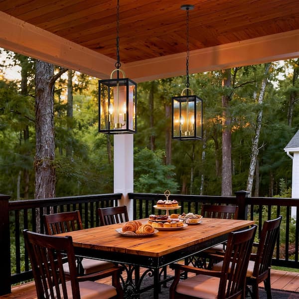 Modern Black Outdoor Pendant Light with Clear Glass Shade