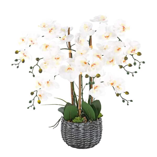 Vanity Art 27.95 in. H Phalaenopsis Orchids Floral Arrangement in Bamboo Woven Pot