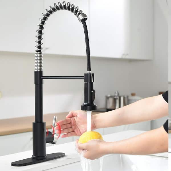 Single Handle Touchless Pull Down Sprayer Kitchen Faucet with Deckplate Included in Black & Brushed Nickel