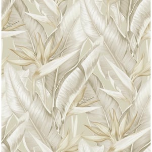 Arcadia Beige Banana Leaf Paper Strippable Roll Wallpaper (Covers 56.4 sq. ft.)