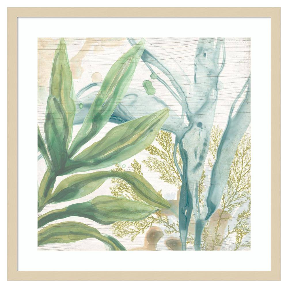 Quiet Coastal Collage II Abstract Botanical Framed Wall Art