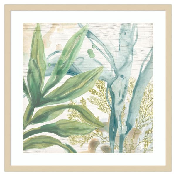 Amanti Art Quiet Coastal Collage II by June Erica Vess 25 in. W x 25 in. H. Wood Framed Wall Art Print Framed in Brown