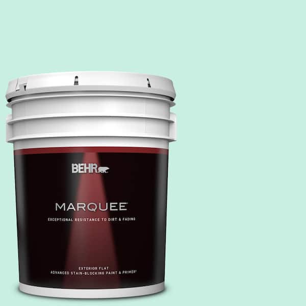 BEHR MARQUEE 5 gal. #P430-1 Summer House Flat Exterior Paint & Primer
