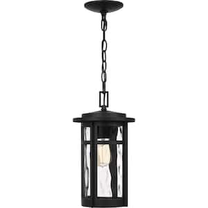 Uma 8 in. 1-Light Matte Black Outdoor Pendant-Light with Clear Water Glass