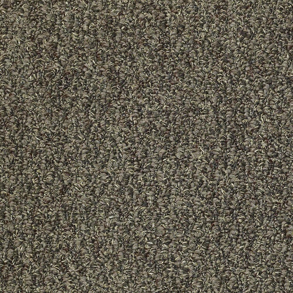 8 in. x 8 in. Berber Carpet Sample - Isla Vista - Color Acorn price history on PriceWatchPro