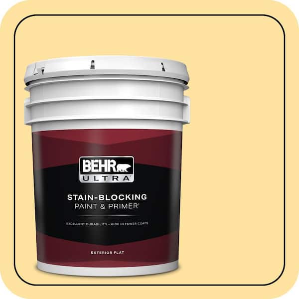 BEHR ULTRA 5 gal. #P280-3 Polka Dot Skirt Flat Exterior Paint & Primer