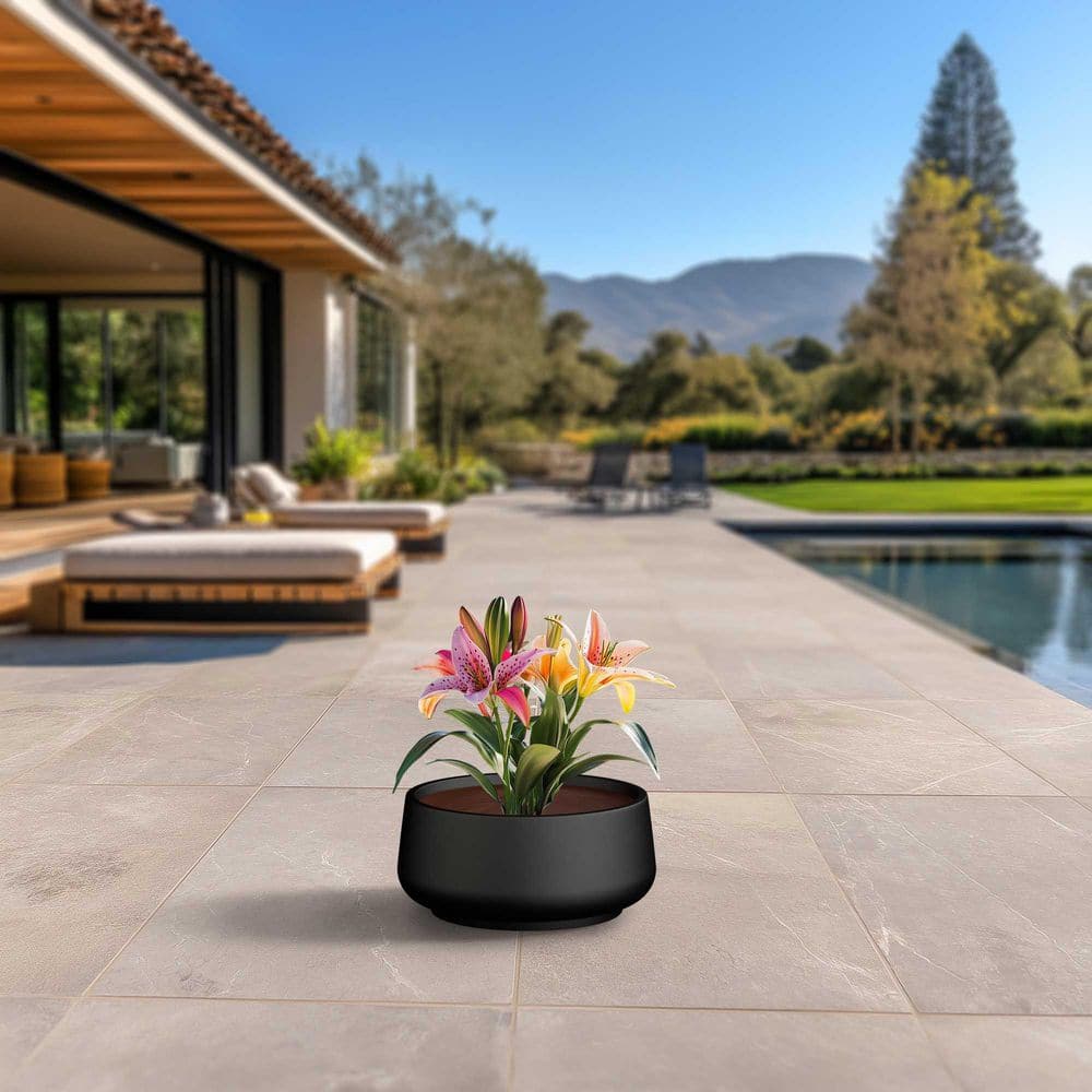 17.5 in. Medium Charcoal Black (Enhanced Interior) Concrete Round Planter / Pot with Drainage Holes price history on PriceWatchPro