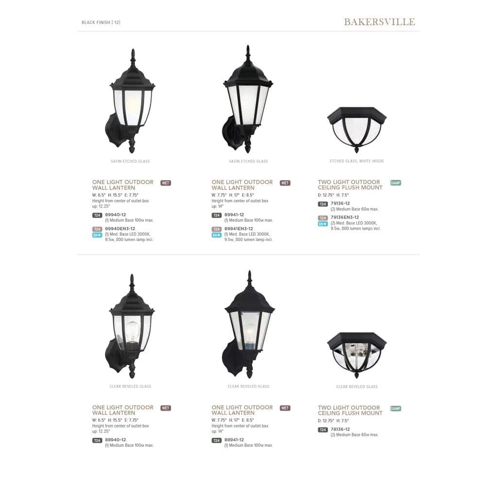 Black Satin Etched Glass Outdoor LED Wall Lantern Sconce