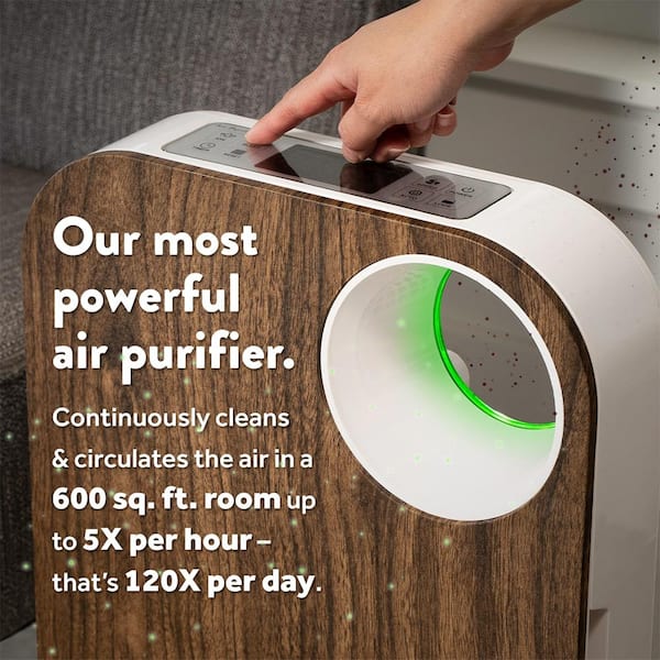 OVAL AIR AIR1000A 3-Stage H13 True HEPA 5-in-1 Air Purifier For Allergens,Dust,Pets,Allergies,Odor,Smoke,Pollen, Rooms up to 600 sq. ft., W 並行輸入品 : OVAL AIR AIR1000B 3-Stage H13 True HEPA 5-in-1 Air