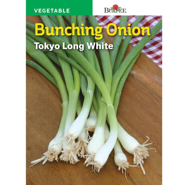 Burpee HL Onion Toyko Long White Seed