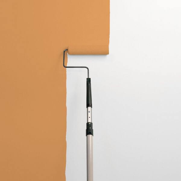 Polo Pony PPG1202-6 Paint