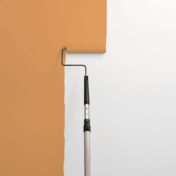 Polo Pony PPG1202-6 Paint