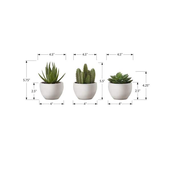 Racxily 6 in. Artificial Succulent Plants in White Pot (3-Pack