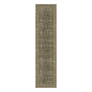 HaiiMeid Star Brown 9 ft. x 12 ft. Distressed Vintage Floral Area Rug ...