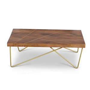 Walter 49 in. Brown/Brass Large Rectangle Wood Coffee Table