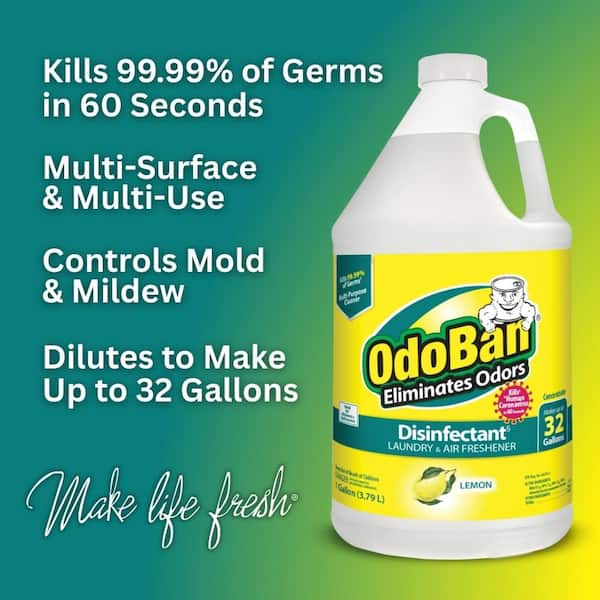 1 Gal. Lemon Disinfectant and Odor Eliminator, Fabric Freshener, Mold Control, Multi-Purpose Cleaner 4 Pack