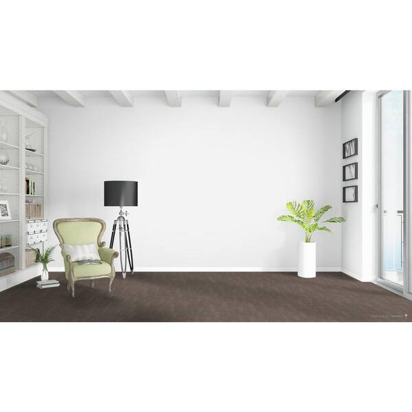 Affectionate I - Genuine - Brown 40 oz. SD Polyester Texture Installed Carpet