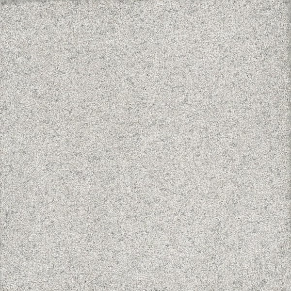 Home Decorators Collection 8 in x 8 in. Texture Carpet Sample - Columbus II - Color Thin Ice
