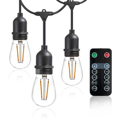 Outdoor/Indoor 48 ft. Plug-In S14 Bulb LED String Light with Wireless 265W Dimmer, Remote Control, and Extra Bulb, Black