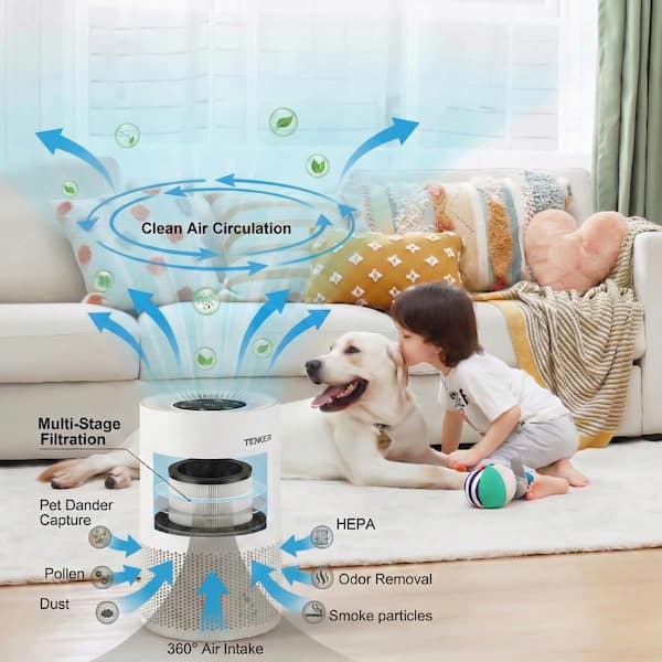 Tabletop Air Purifiers up to 420 Sq. Ft., H13 HEPA Filter, Fragrance Sponge for Smokers Pollen Pets Dust Odors, White