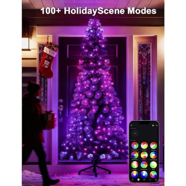 Christmas Lights 33 ft. RGB Color Changing IC, 100 LED Smart