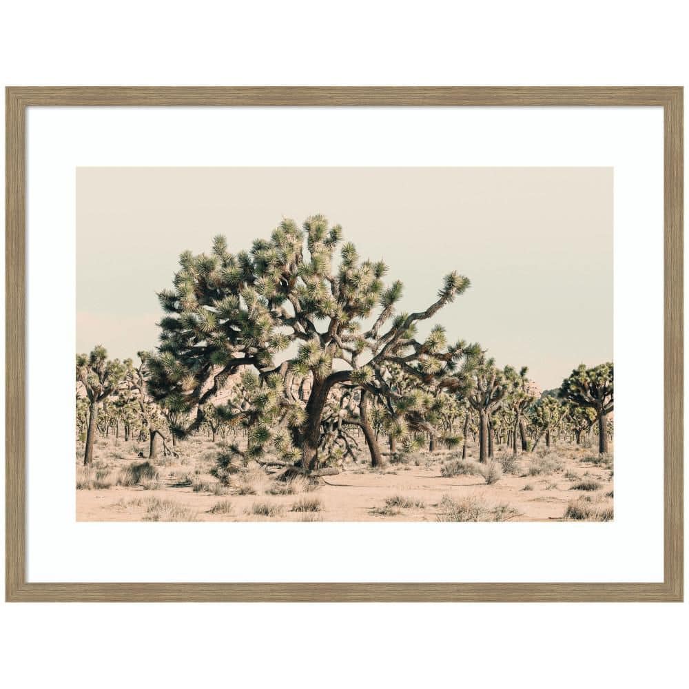 "Woodgrain ""Joshua Tree No. 1"" by Alicia Bock Landscape Framed Art Print 32 in. x 42 in." price history on PriceWatchPro