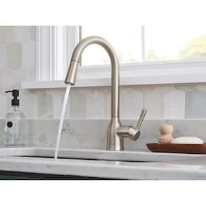 Adler Single-Handle Pull-Down Sprayer Kitchen Faucet with Power Clean and Reflex in Spot Resist Stainless