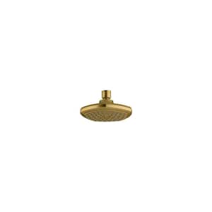Occasion 1-Spray Patterns with 2.5 GPM 5.5 in. Wall Mount Fixed Shower Head in Vibrant Brushed Moderne Brass