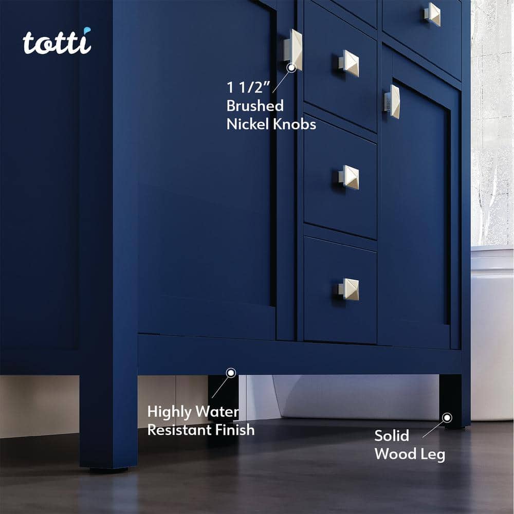 Artemis 48" Blue Solid Wood Double Sink Bathroom Vanity