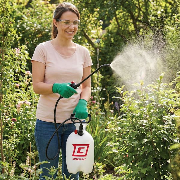 Chapin 1 Gal. Lawn and Garden and Home Project Sprayer 20000 - The