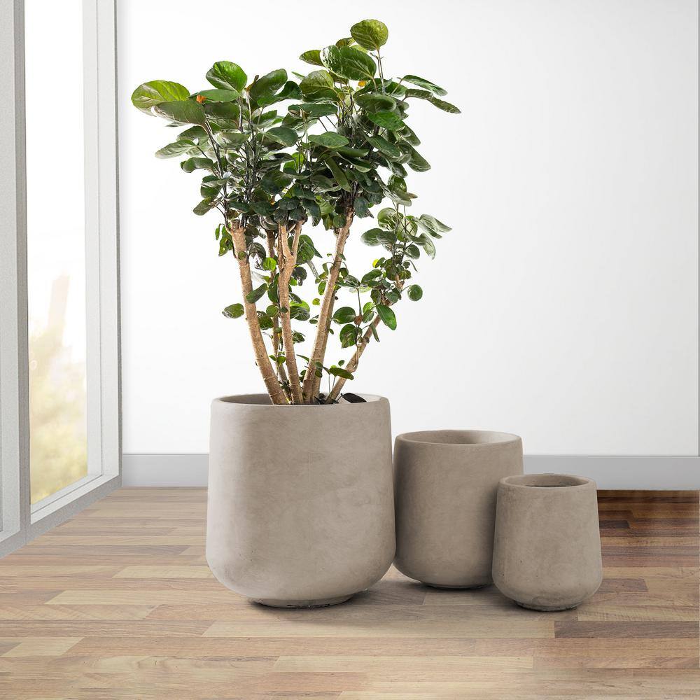 Weathered Concrete Round Planter Set with Drainage Holes