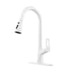 CASAINC Single Handle Pull Down Sprayer Kitchen Faucet with Advanced ...