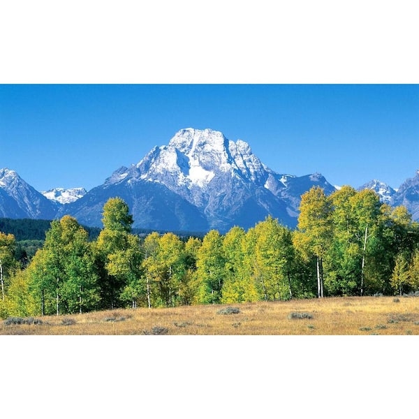 Biggies Mountain View - Weather Proof Scene for Window Wells or Wall Mural - 100 in. x 60 in.