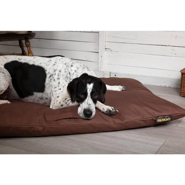 scruffs memory dog bed