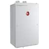 Rheem Performance Platinum 8.4 GPM Natural Gas High Efficiency Indoor  Tankless Water Heater ECOH160DVLN-2 - The Home Depot