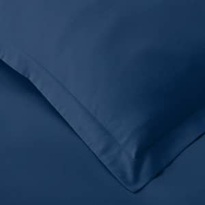 Company Cotton Solid Velvet Flannel Pillowcase (Set of 2)