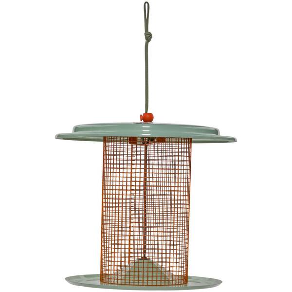 BIRDS choice Sunflower Seed Bird Feeder Color Pop Collection in Light Green and Orange