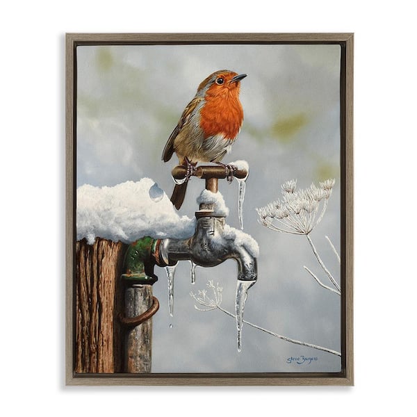 Stupell Industries Robin Bird and Winter Scene by Steve Burgess 1 Piece Floater Frame Graphic Print Animal Poster Art Print 21 in. x 17 in.