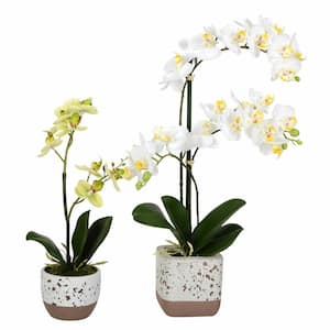 13.5 in. to 18 in. White Artificial Mini Phalaenopsis Orchid Individual Flower Stem