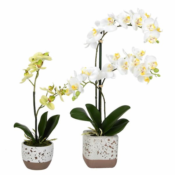 Vickerman 13.5 in. to 18 in. White Artificial Mini Phalaenopsis Orchid Individual Flower Stem