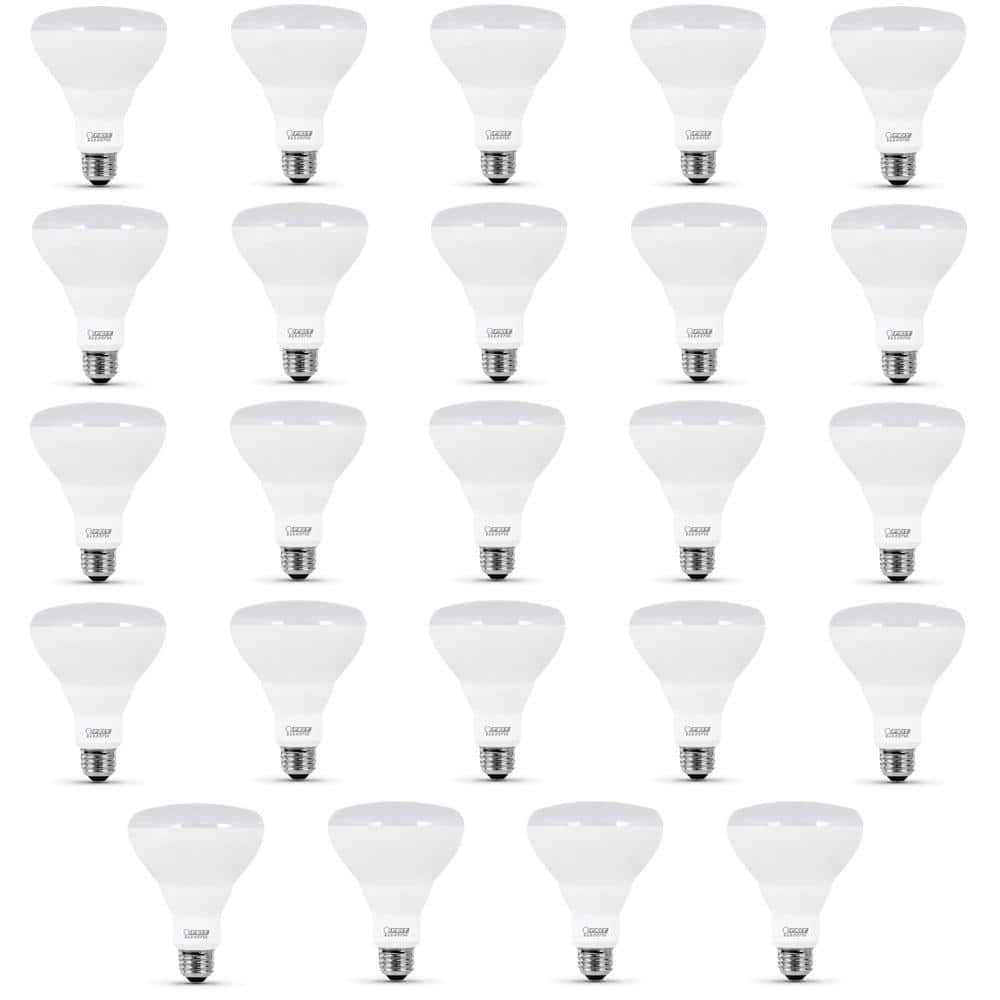 85-Watt Equivalent BR30 Dimmable CEC Enhance 90+ CRI CEC Title 20 E26 Flood