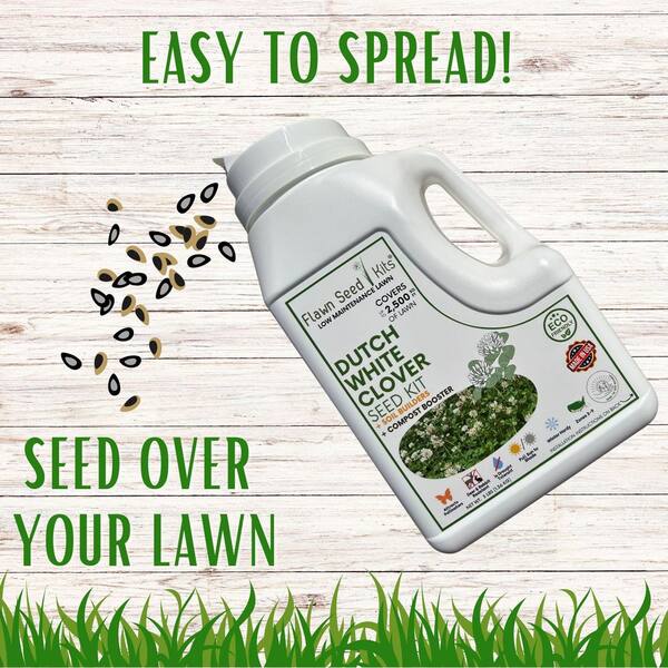 Flawn Seed Kits 1 Lb White Dutch Clover Seed, Organic