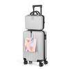HIKOLAYAE 2-Piece Carry On Luggage Set Hard Side Lightweight Suitcase with 4 Spinner Wheels(14/20, Silver) HD-874-WELA