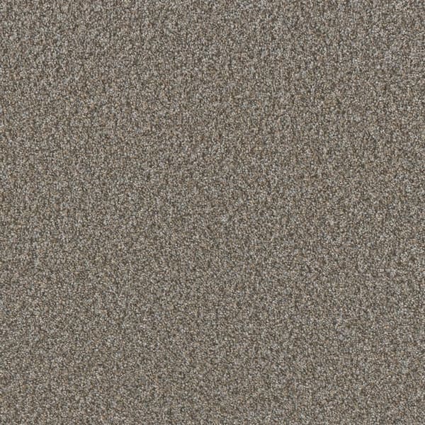 Manuscript I -Writings Gray-45 oz. SD Polyester Texture Installed Carpet