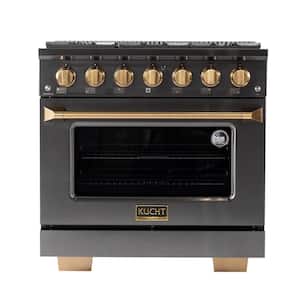 Gemstone Professional 36 in. 5.2 cu. ft. Dual Fuel Range for Propane Gas w/Convection Oven in Titanium Stainless Steel