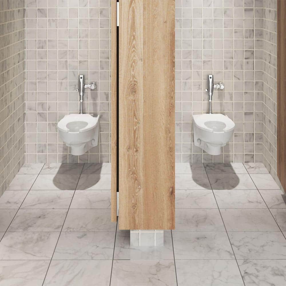 White Elongated Wall Mounted Dual Flush Toilet
