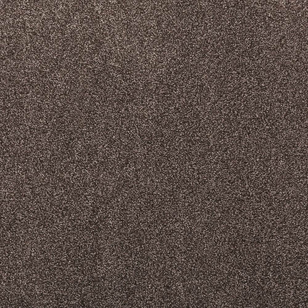 8 in. x 8 in. Texture Carpet Sample - Plush Dreams III -Color Velvet price history on PriceWatchPro